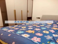 其它图